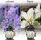 Scented Candles Gifts Set for Women, 2X 6 oz Aromatherapy Jar Candles for Home, Vanilla & Lavender Soy Wax Long Lasting Retro Lantern Candles Perfect